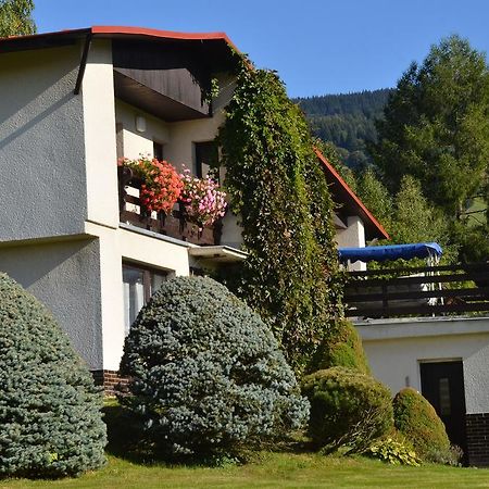 Apartman Braun Rokytnice nad Jizerou Room photo