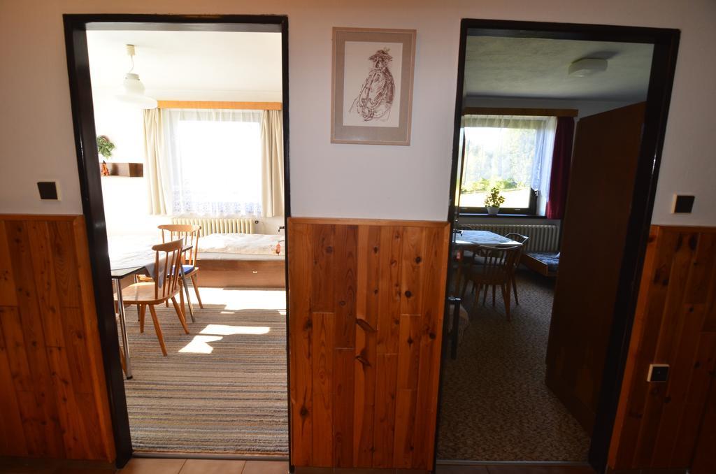 Apartman Braun Rokytnice nad Jizerou Room photo