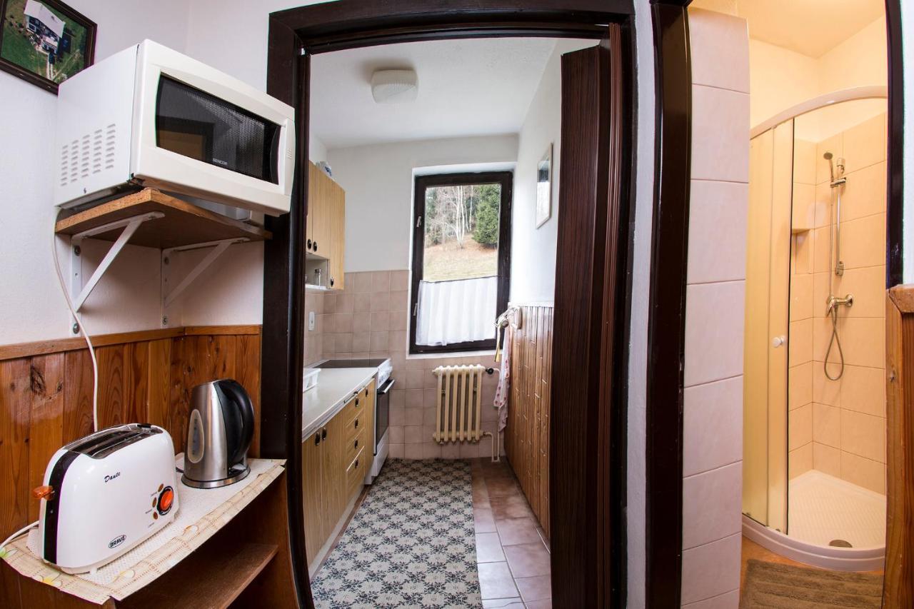 Apartman Braun Rokytnice nad Jizerou Exterior photo